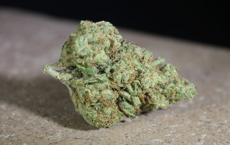BRUCE BANNER