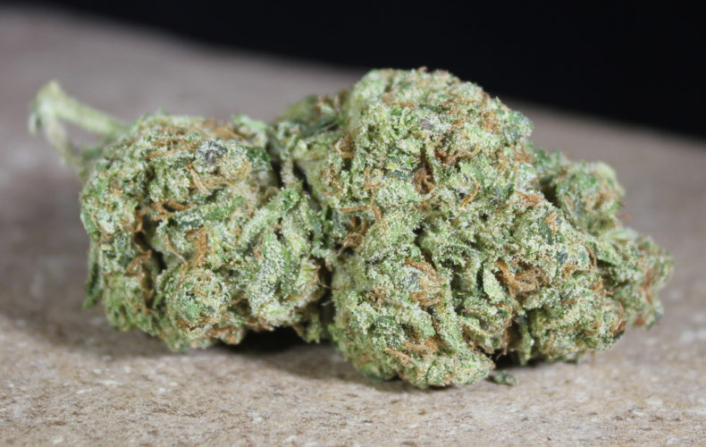 AGENT ORANGE