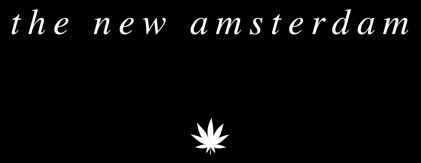 new amsterdam